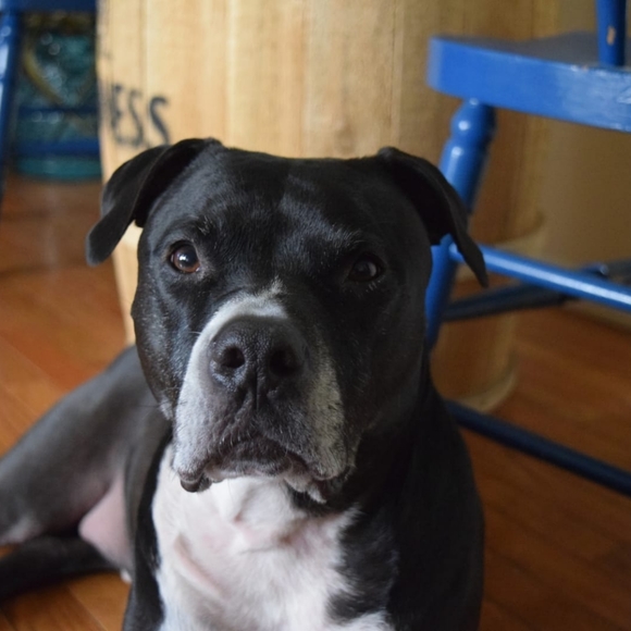 Meet your Posher, Johann - Picture 3 of 8